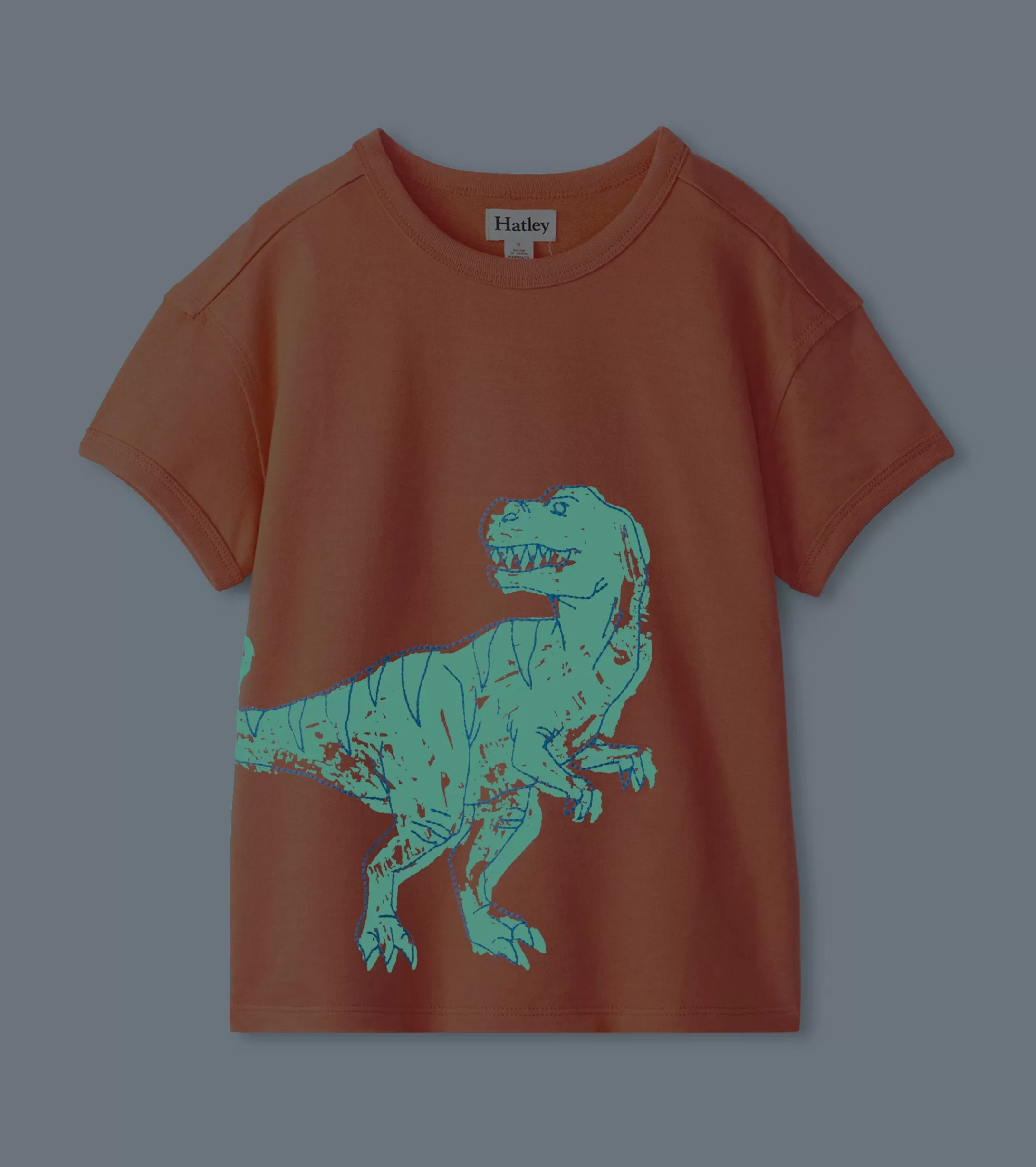 Hatley Boys Dino Glow Graphic Tee Cheap