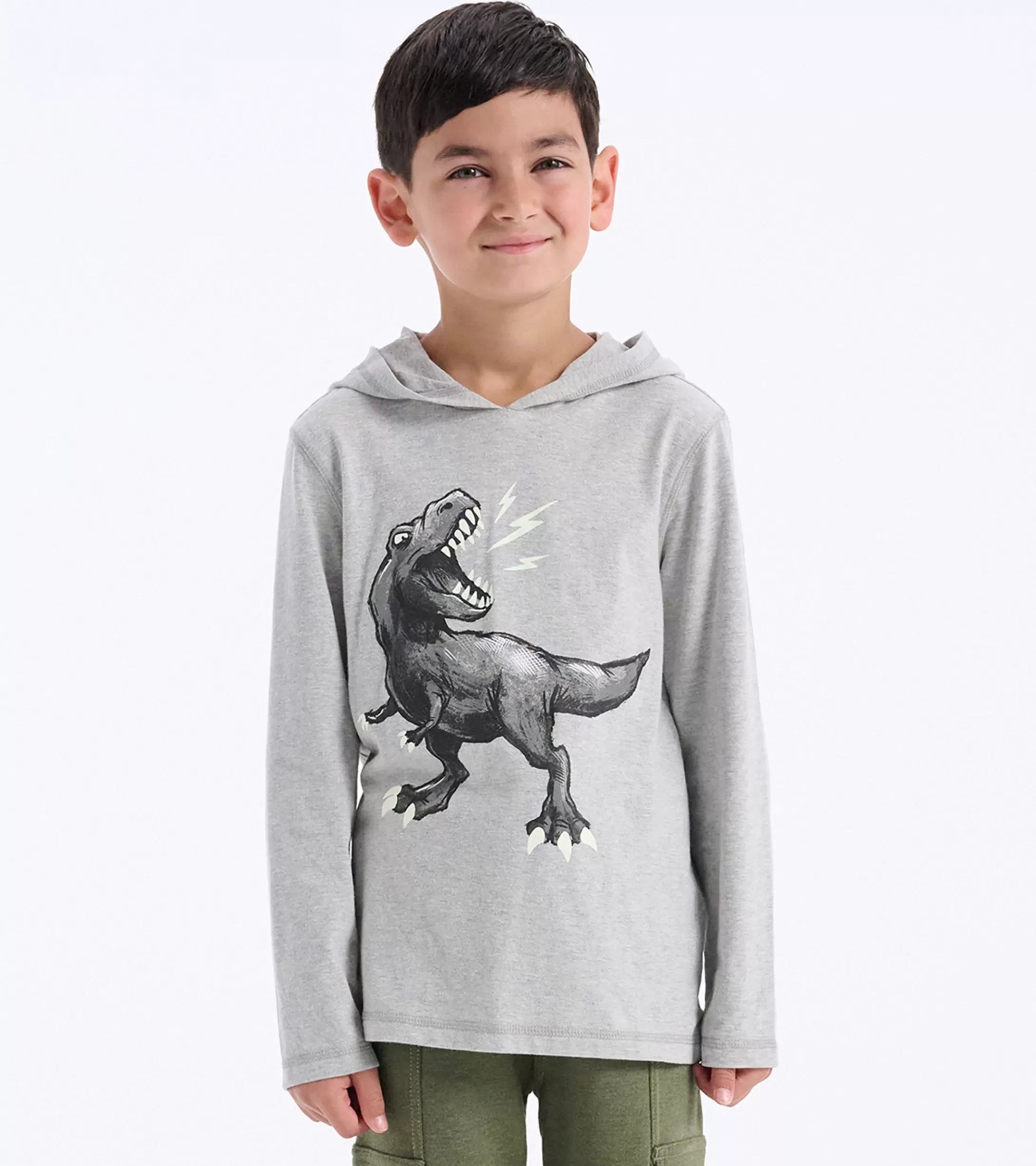 Hatley Boys Dino Long Sleeve Hoodie Tee Cheap