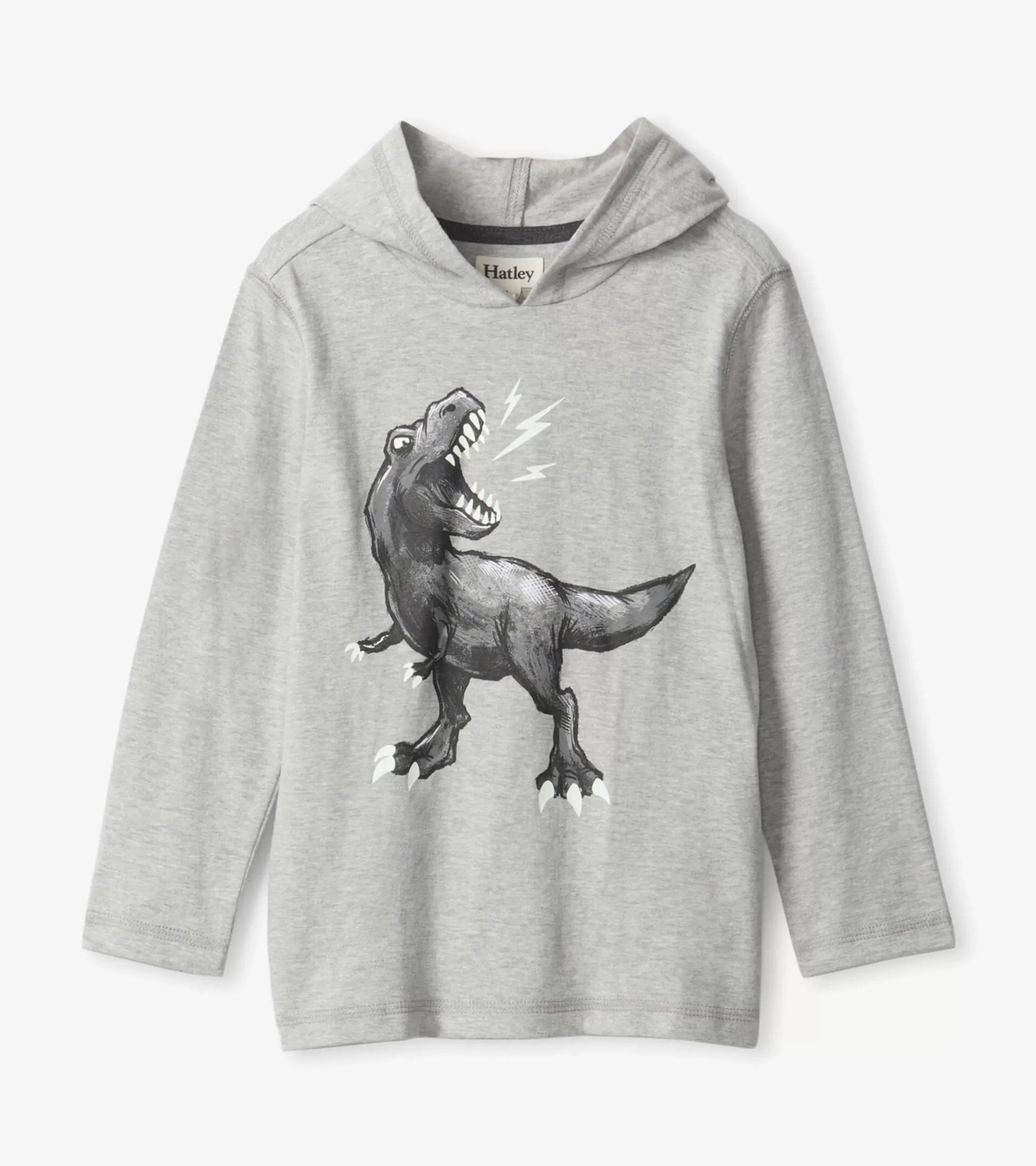 Hatley Boys Dino Long Sleeve Hoodie Tee Cheap