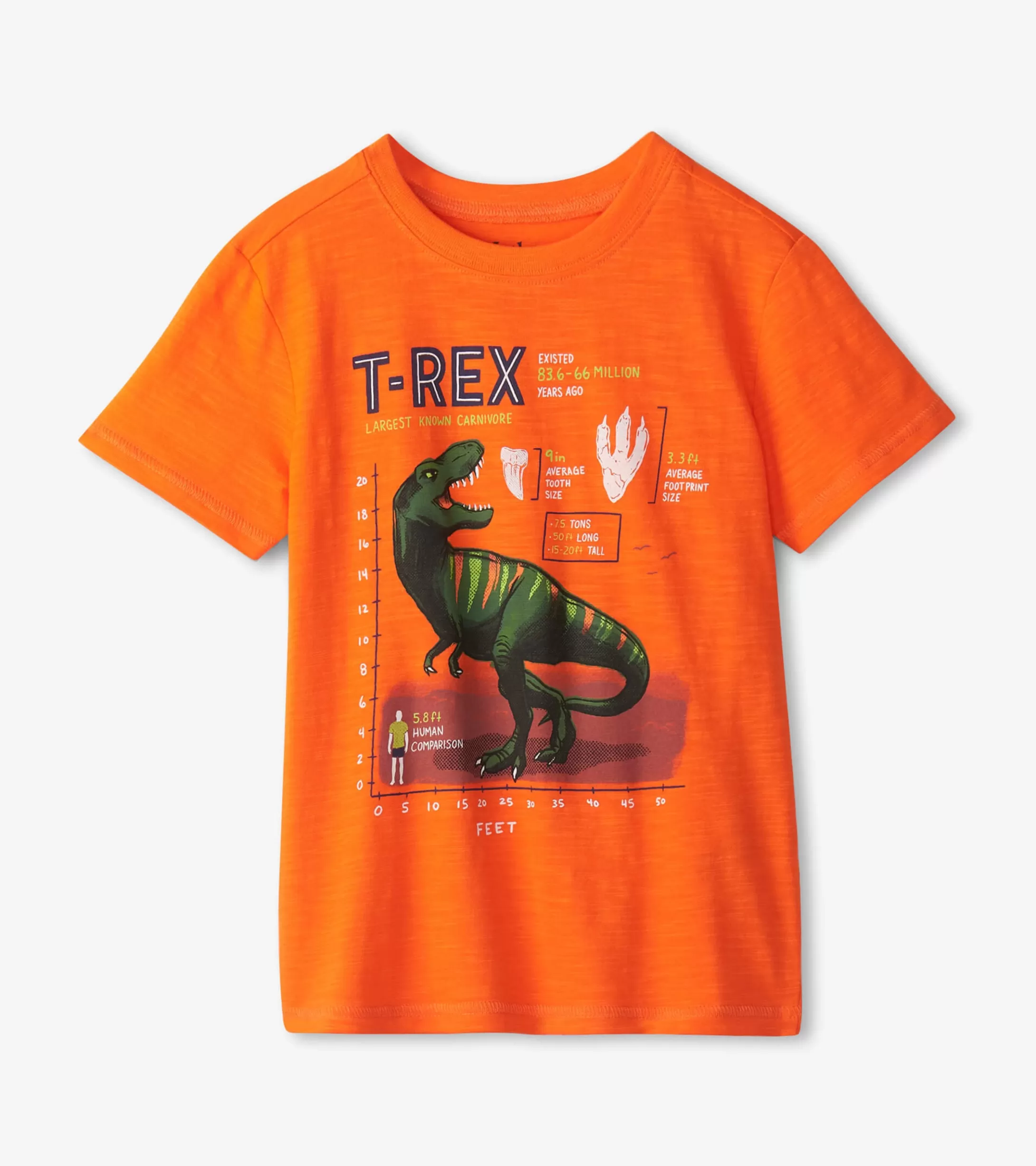 Hatley Boys T-Rex Graphic Tee Fashion